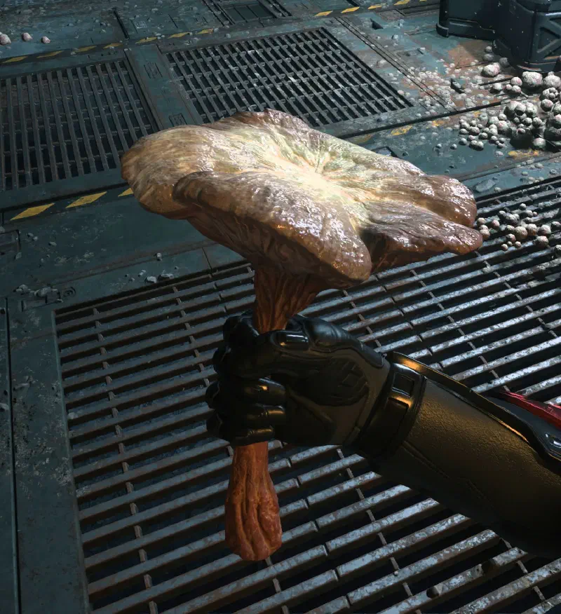 Star Citizen Molina Mold in der Hand des Spielers